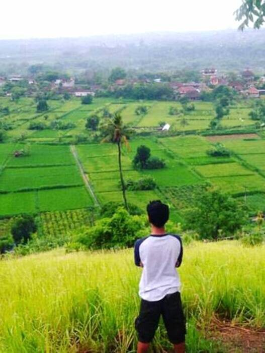 Bukit Lingga di Klungkun Bali