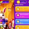 Cash bunny