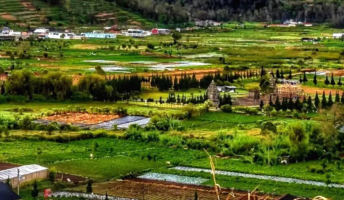 Desa Wisata Dieng Kulon