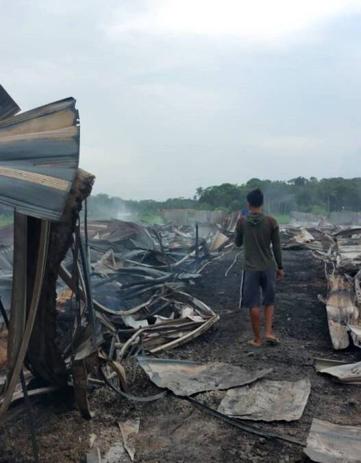 Diduga Korsleting, 2 Kandang Ayam Ludes