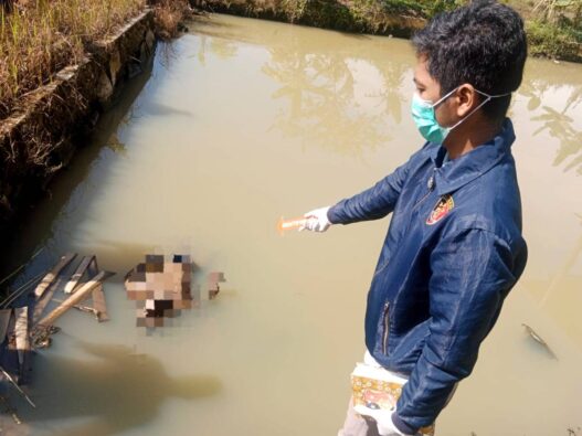 Ditemukan Mayat Ngapung di Kolam Ikan