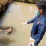 Ditemukan Mayat Ngapung di Kolam Ikan