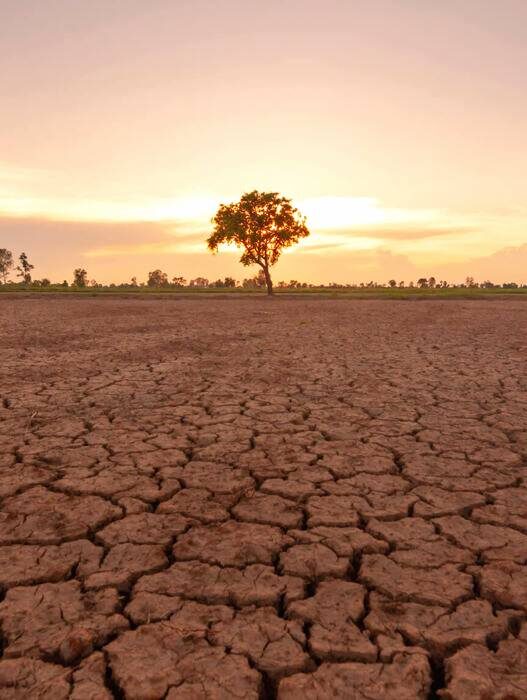 Fakta El Nino di Indonesia Versi BMKG