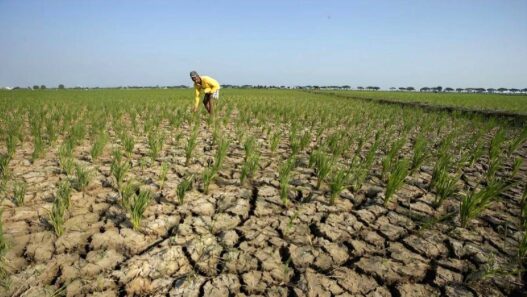 Fenomena El Nino akan memicu potensi kekeringan di berbagai wilayah Indonesia.