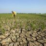 Fenomena El Nino akan memicu potensi kekeringan di berbagai wilayah Indonesia.