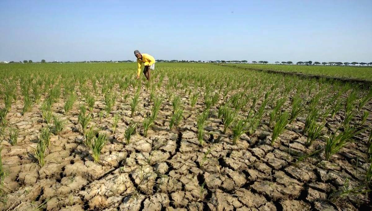 Fenomena El Nino akan memicu potensi kekeringan di berbagai wilayah Indonesia.