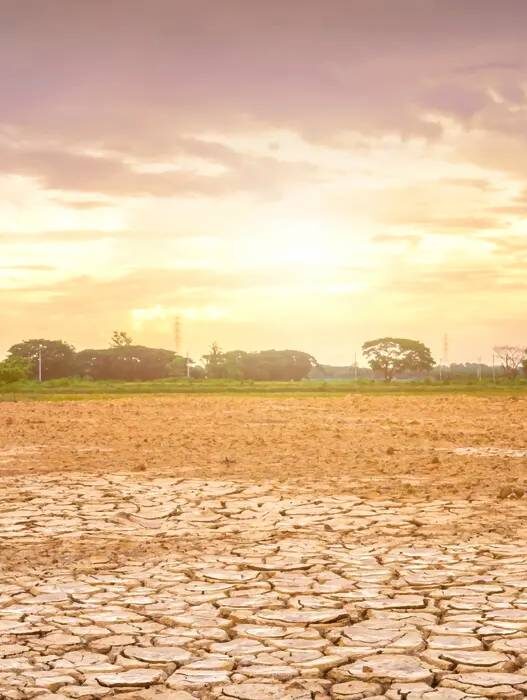 Gelombang Panas El Nino Godzilla Indonesia