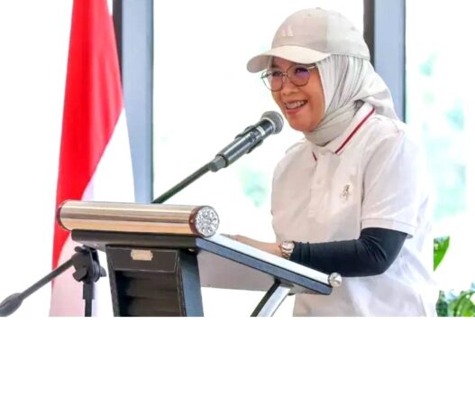 IKN Akan Punya Dapil Khusus