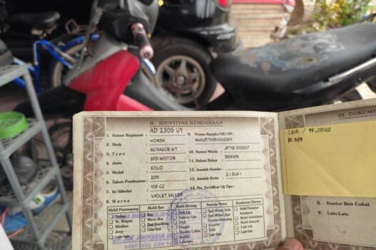 Motor mutasi plat