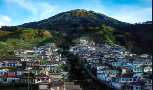 Pemandangan desa candirejo