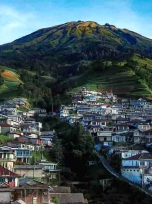 Pemandangan desa candirejo