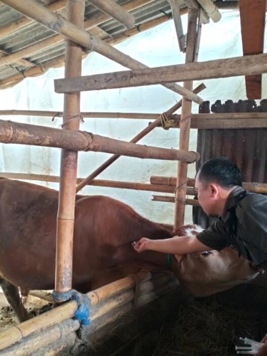 Pengawasan Hewan Kurban Diperketat