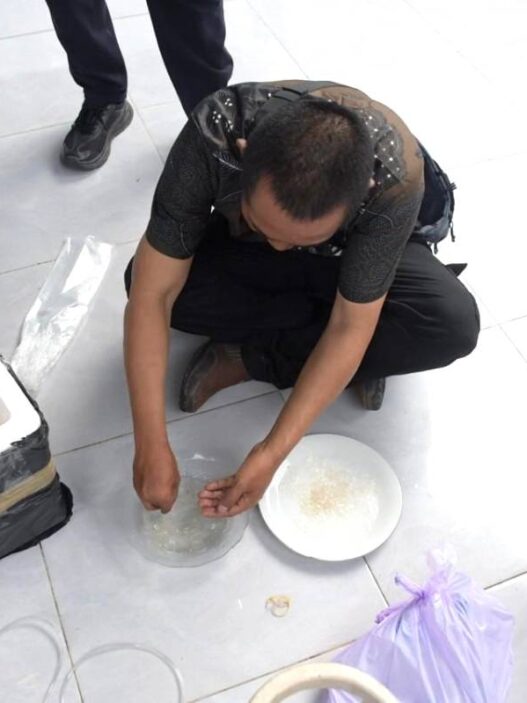 Penyelundupan Ribuan Benih Lobster Digagalkan