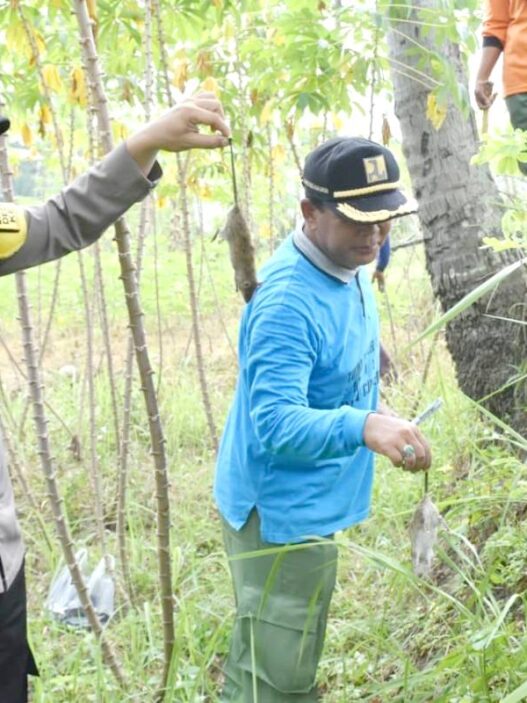Petani Terapkan Semprot dan Belerang