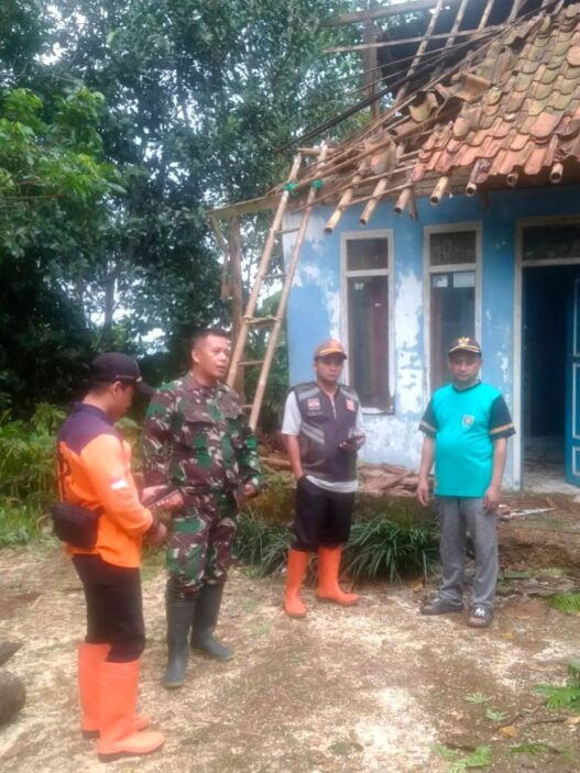 Pohon Petai Roboh, Timpa Rumah Warga