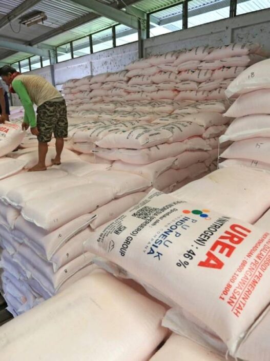 Pupuk Urea RI Dilirik Negara Asia dan pasifik
