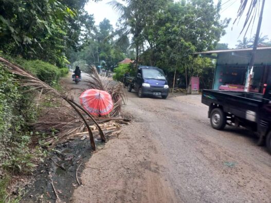 Ruas Jalan Petanahan Puring Rusak