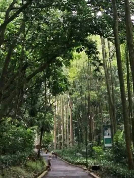 Tahura Djuanda Bandung