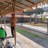 Ubah Lahan Tidur Jadi Cuan
