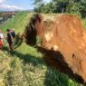 161 Hektar Sawah Terancam Kekeringan