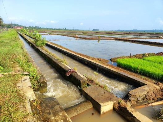 80 Kilometer Irigasi Rusak