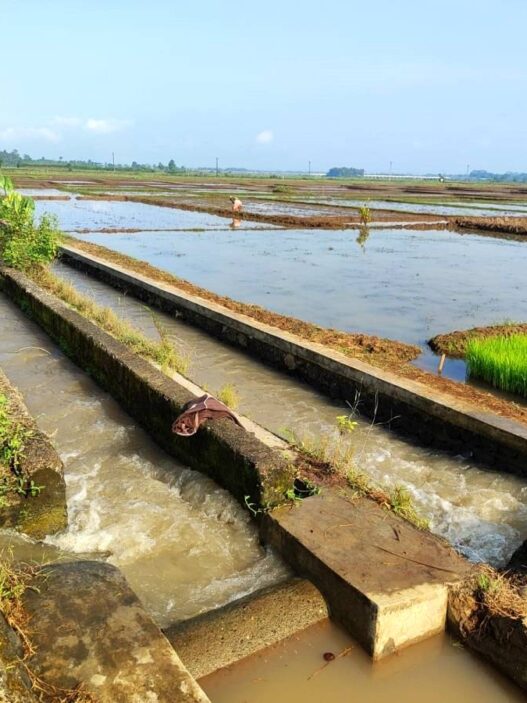 80 Kilometer Irigasi Rusak