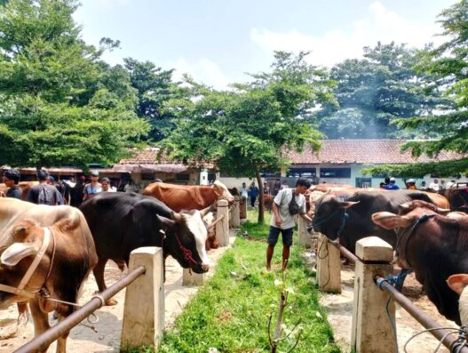 Aktivitas Mulai Ramai, Tapi Sepi Transaksi