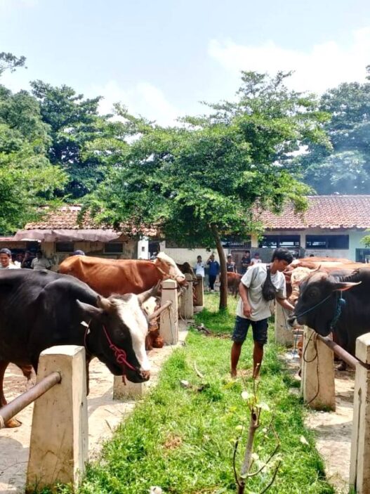 Aktivitas Mulai Ramai, Tapi Sepi Transaksi