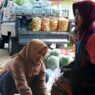 Dampak MBG Harga Sayuran Meroket