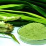 Daun pandan