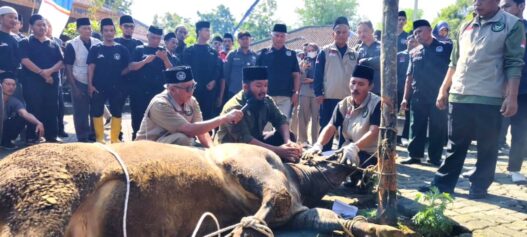 DPPKP Tingkatkan Standar Penyembelihan Halal