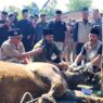 DPPKP Tingkatkan Standar Penyembelihan Halal