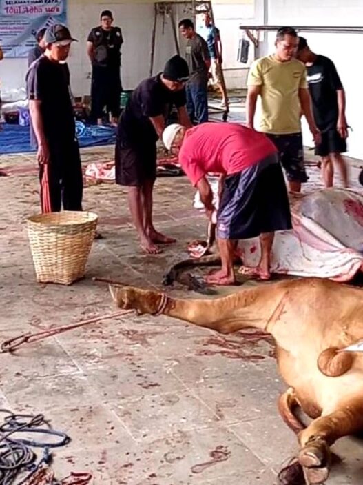 DPPP Temukan 11 Kasus Cacing Hati