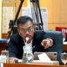 DPR Sebut Hantavirus Ancaman Nyata