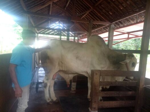 Jadi Incaran Hingga Luar Daerah