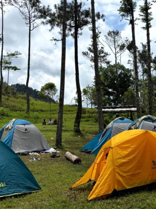 Kaliajir dan Purwasaba Resmi Jadi Desa Wisata
