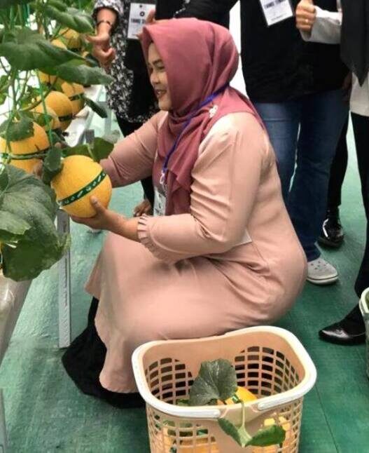 Kebun Buah Melon Rutan Boyolali