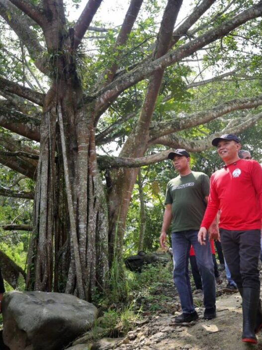 Kerusakan Lingkungan Semakin Nyata, Ketua DPRD Jateng, Sumanto Ajak Hijaukan Daerah Hulu Sungai