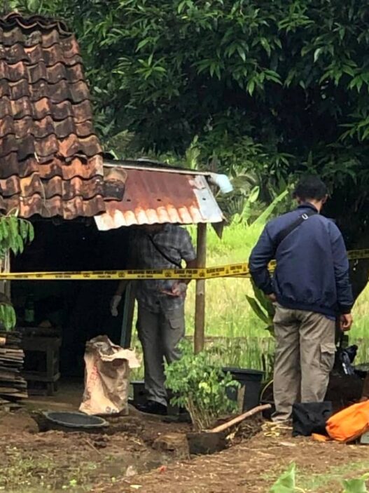 Menantu Tusuk Mertua Tiri di Gubug Sawah