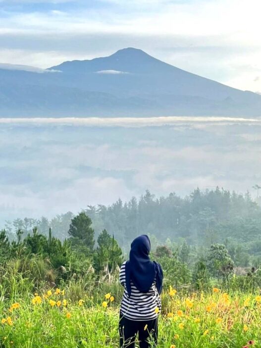 Nanjak Minimal, View Maksimal