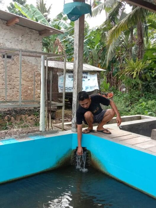Pakan Mahal, Peternak Pindah Haluan