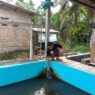 Pakan Mahal, Peternak Pindah Haluan