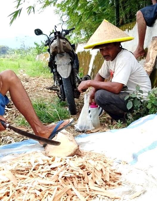 Pasar Bebek Lesu, Biaya Pakan Membengkak
