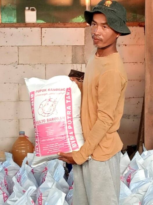 Petani Bulaksari Sulap Kotoran Sapi Jadi Pupuk