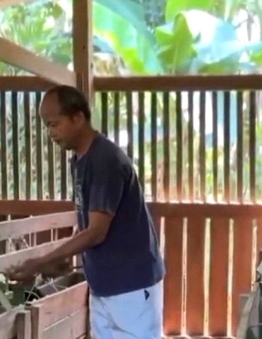 Petenak Kambing Terancam Rugi