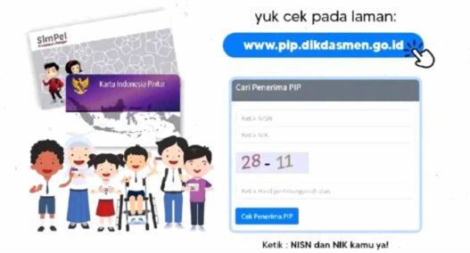 Program PIP