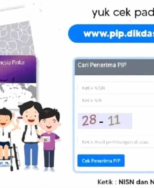 Program PIP