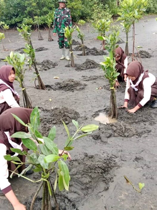 Ribuan Mangrove Ditanam di Pantai Sodong