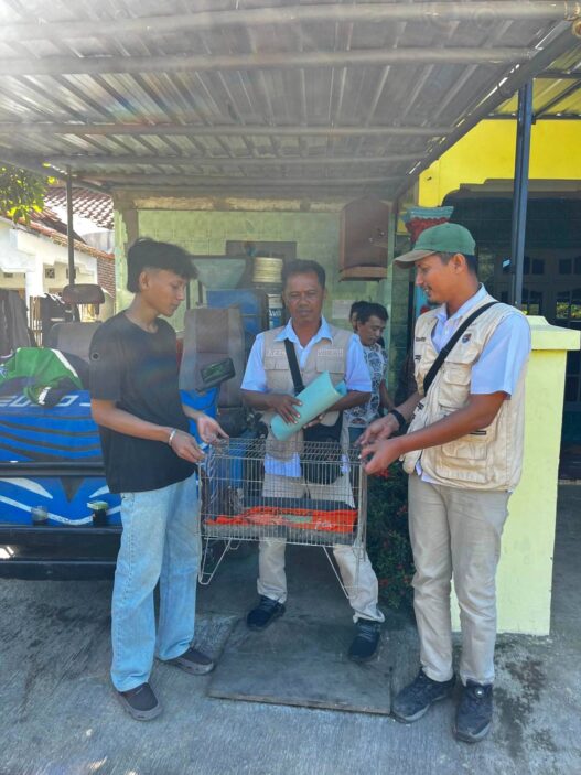RKSDA Evakuasi Anak Kucing Hutan