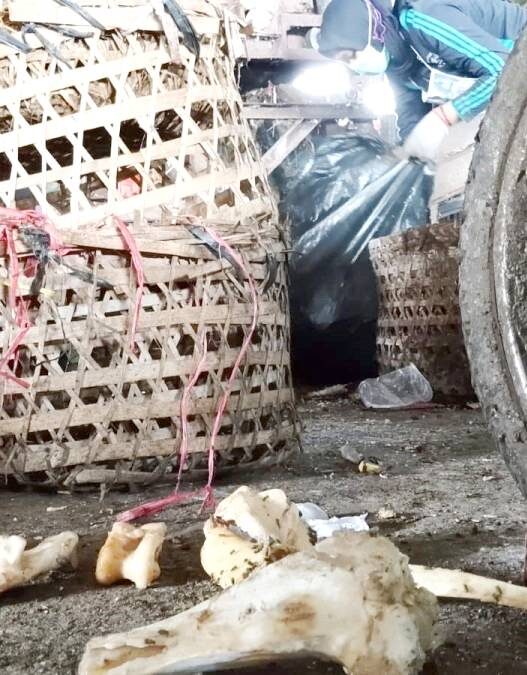 Sampah Tulang Ancam Ganggu Operasional TPST